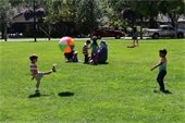 Kids kicking a ball on a green lawn.