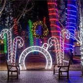 Photo of decorative outdoor lights in cany cane and ornament shapes and trees wrapped in lights. 