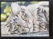 Middle School Winner - Sleepy Cat by Avery Tewksbury